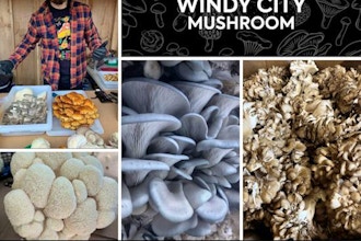 Hands-On The Magic of Mushrooms